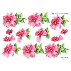 Blomster