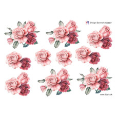Blomster - Rose