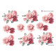 Blomster - Rose