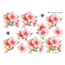 Blomster 
