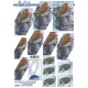 Pyramide - Fugle - Pindsvin