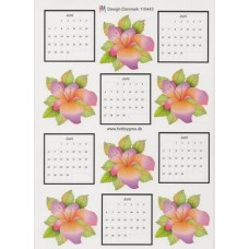 Diverse - Kalender - Juni